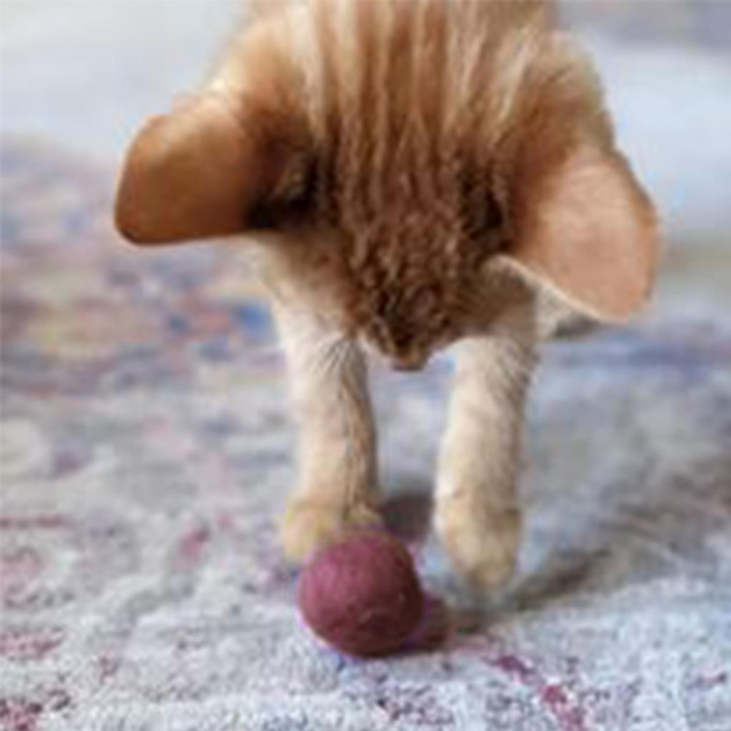 Natural Kitty Toys - 5 Pack