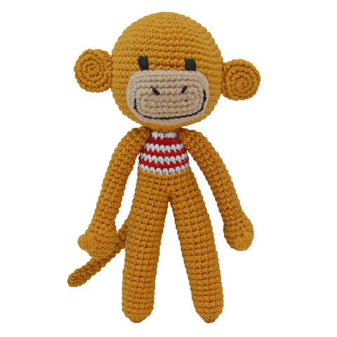 Brown Boy Monkey