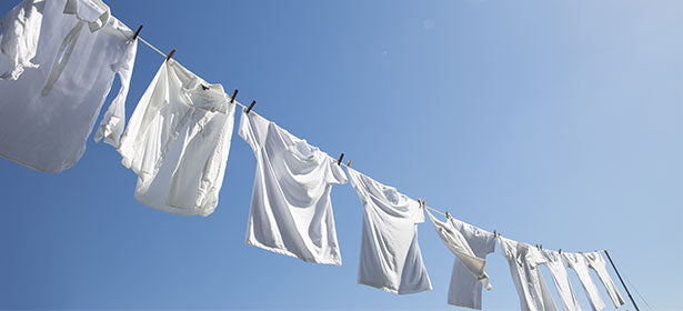 Clean Cotton Riau Candle